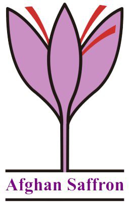 عکس لوگو مشتری عزیزمان (18)